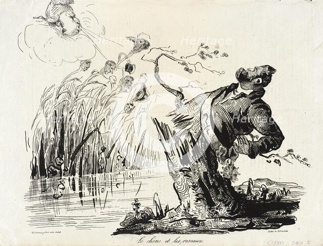 Le chêne et les roseaux, 1834. Creator: Honore Daumier.