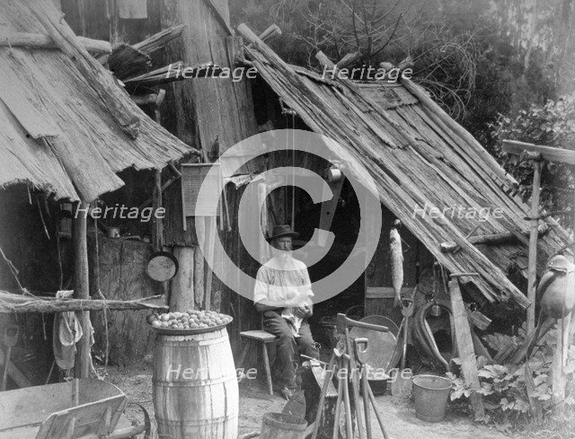 Prospector, Gippsland, Victoria, Australia, 1886. Artist: Unknown