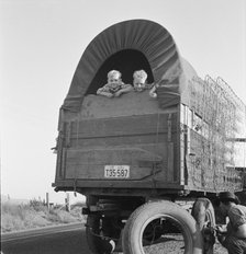 Just arrived from Kansas, on highway going to potato..., near Merrill, Klamath County, Oregon, 1939. Creator: Dorothea Lange.