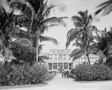 Miami, Fla., south entrance, Royal Palm Hotel, between 1900 and 1920. Creator: Unknown.