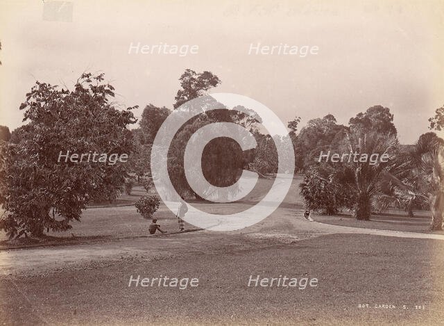 Botanical Garden, 1860s-70s. Creator: Unknown.
