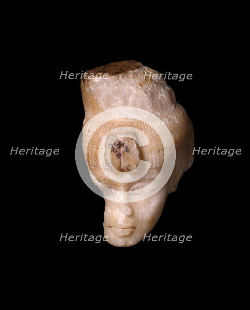 Head From a Shabti (Funerary Figurine) of Queen Tiye, Egypt, New Kingdom, Dynasty 18, Reign... Creator: Unknown.