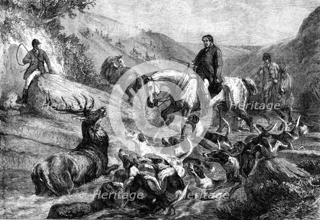 "A Stag at Bay on Exmoor Forest", by S. Carter, 1871. Creator: J Greenaway.