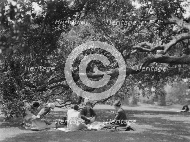 University of California at Berkeley views, 1927 Creator: Arnold Genthe.