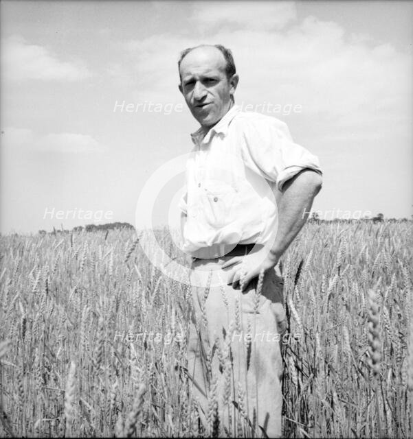 Member of the Hightstown farm group says: "Who says Jews can't farm?" Hightstown, New Jersey, 1936. Creator: Dorothea Lange.