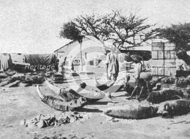 ''L'emballage des dents d'elephants pour l'exportation; Le Nord-Est Africain', 1914. Creator: Charles Chusseau-Flaviens.