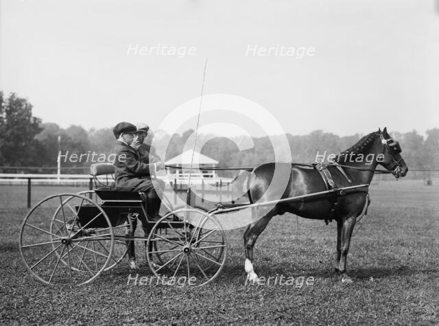 John Schiff & Mrs. Phipps' "Mighty Adam", 1913. Creator: Bain News Service.