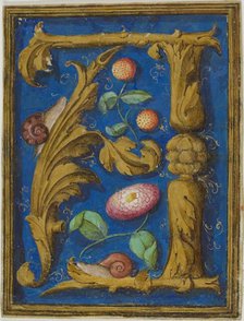 Snails, Strawberries and a Flower in a Decorated Initial "A" from a Manuscript, n.d. Creator: Unknown.