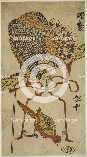 Sparrowhawk and Macaw (Konori taka, inko), c. 1718. Creator: Torii Kiyomasu I.