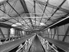 Triple conveyors at Manvers Main coal preparation plant, Wath upon Dearne, South Yorkshire, 1956. Artist: Michael Walters