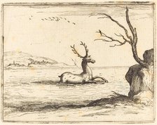 Stag in the Water, 1628. Creator: Jacques Callot.