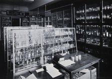 The Wellcome Building, Euston Road, London: working area in the materia medica stores, c1910s. Creator: Unknown.