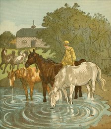 The Farmer's Boy watering horses, c1881. Creator: Randolph Caldecott.