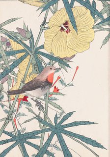 The Four Seasons Bird and Flower Albums (Keinen Kacho Gafu), 1891-1892. Creator: Keinen, Imao (1845-1924).