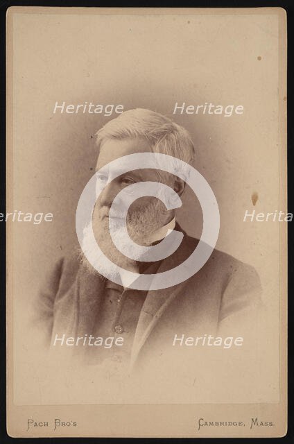 Portrait of Asa Gray (1810-1888), March 1887. Creator: Pach Bros.