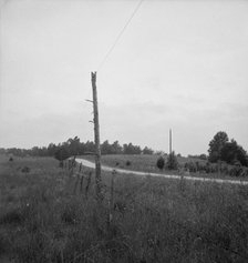 Route 501, one mile north of Bethel Hill High School, Person County, 1939. Creator: Dorothea Lange.