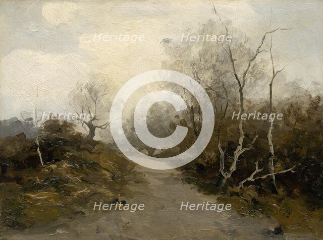 Forest road, 1880-1900. Creator: Felicián Moczik.