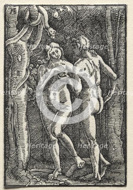 The Fall and Redemption of Man: Adam and Eve Eating the Forbidden Fruit, c. 1515. Creator: Albrecht Altdorfer (German, c. 1480-1538).