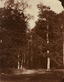 Forest at Saint-Cloud, 1859-1860. Creator: Louis-Rémy Robert.