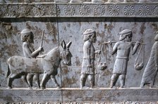 Relief of Indians, the Apadana, Persepolis, Iran
