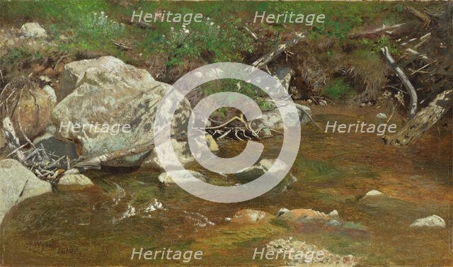 Mountain Brook: A Study, between c1863 and 1869. Creator: Alexander Helwig Wyant.