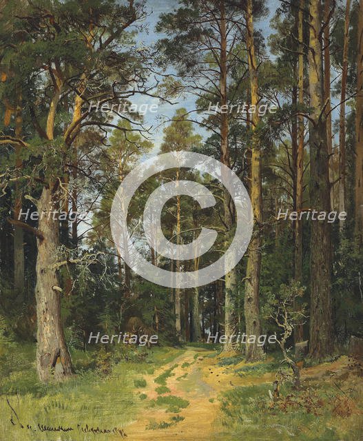 Siverskaya, 1896. Creator: Shishkin, Ivan Ivanovich (1832-1898).