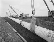 Row of Caterpillar 583 pipelayers with side booms lifting the Fens gas pipeline, Norfolk, 10/08/1967 Creator: John Laing plc.