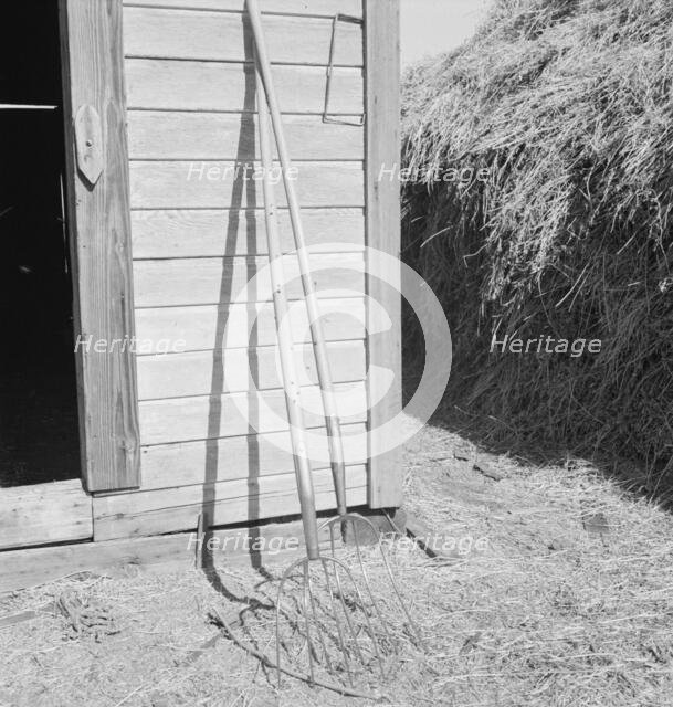 Hay forks, Northern Oregon farm, Morrow County, Oregon, 1939. Creator: Dorothea Lange.