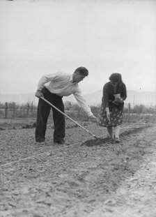Drought refugees from Colorado, outskirts of San Bernardino, California., 1935. Creator: Dorothea Lange.