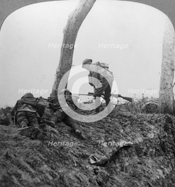 Battle of Polygon Wood, near Ypres, Flanders, Belgium, World War I, September 1917. Artist: Realistic Travels Publishers