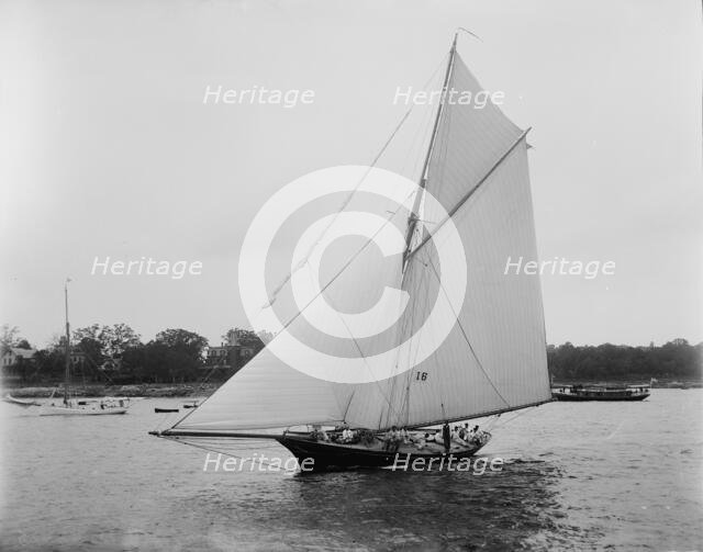 Gorilla, 1893. Creator: John S Johnston.