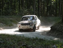 Ford Escort rally car at 2013 Goodwood Festival of Speed Artist: Unknown.