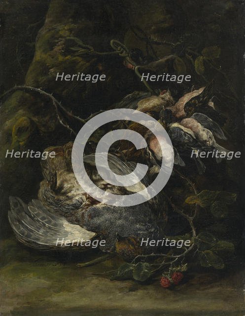 A Partridge and Small Game Birds, 1650s. Creator: Jan Fyt.
