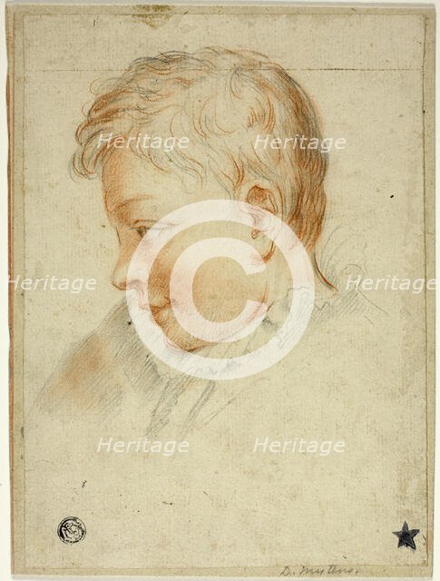 Profile Portrait of Boy, n.d. Creator: Daniel Mytens.