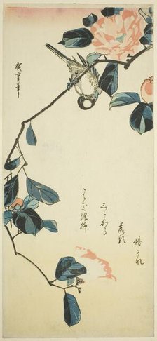 Bullfinch on camellia branch, early 1830s. Creator: Ando Hiroshige.