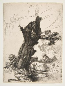 St. Jerome beside a Pollard Willow, 1648. Creator: Rembrandt Harmensz van Rijn.