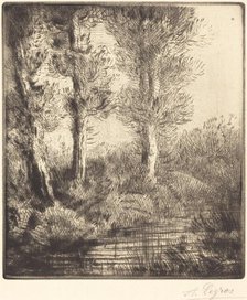 Banks of the Saint-Pre (Rive du Saint-Pre). Creator: Alphonse Legros.