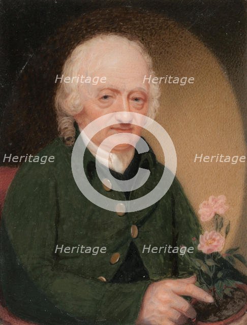 Portrait of a Gentleman, ca. 1810-15. Creator: Unknown.