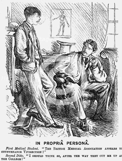'In Propriâ Personâ', 1875.   Artist: Charles Samuel Keene