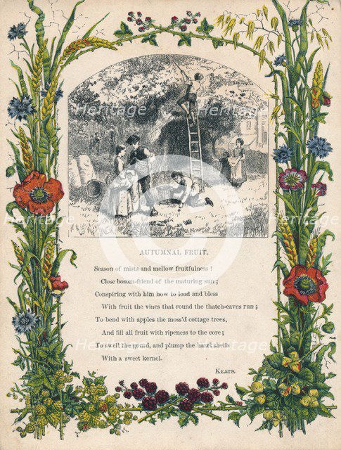 'Autumnal Fruit' by Keats, c1900. Artist: Unknown.