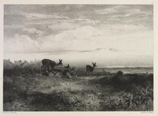 Landscape with Deer, c. 1840. Creator: Karl Bodmer (Swiss, 1809-1893).