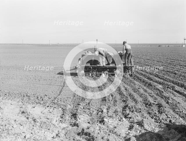 Large-scale, mechanized farming - potato planter, Kern County, California, 1939. Creator: Dorothea Lange.