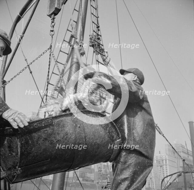 Possibly: Filling a barrel with codfish at the Fulton fish market, New York, 1943. Creator: Gordon Parks.