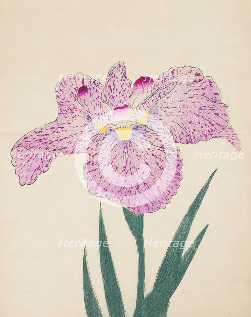 Tanka-No-Koe, No. 15, 1890, (colour woodblock print)