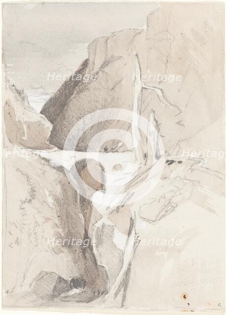 Gorge with Tree Stumps. Creator: John Sell Cotman.