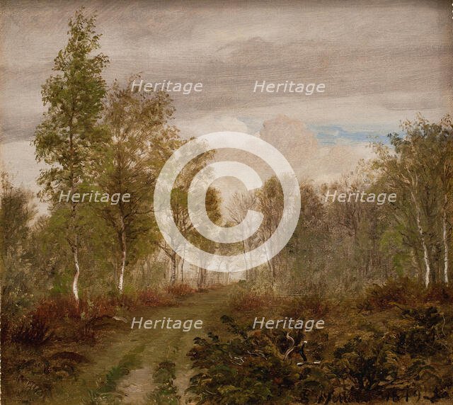 Birch trees at Læso after rain, 1849. Creator: Peter Christian Thamsen Skovgaard.