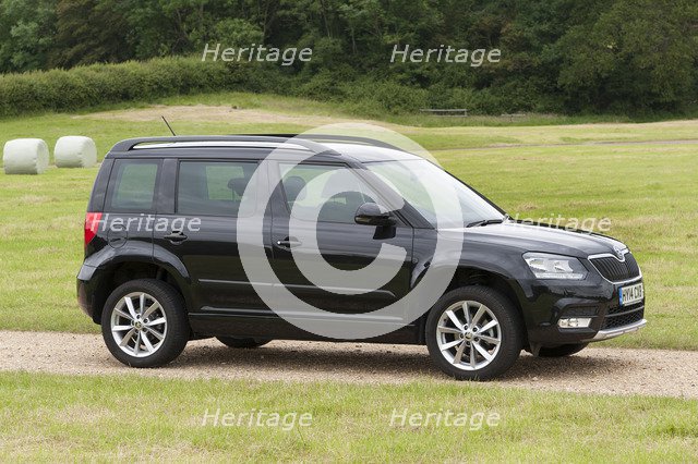 2014 Skoda Yeti SE Artist: Unknown.