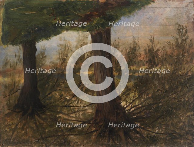 Trees beside a Stream, late 19th-early 20th century. Creator: Eliphalet Frazer Andrews.