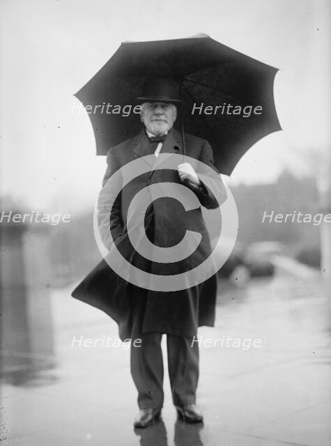 Knute Nelson, Rep. from Minnesota, 1911. Creator: Harris & Ewing.