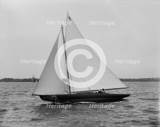 Vaquero III, 1896 June 16. Creator: John S Johnston.